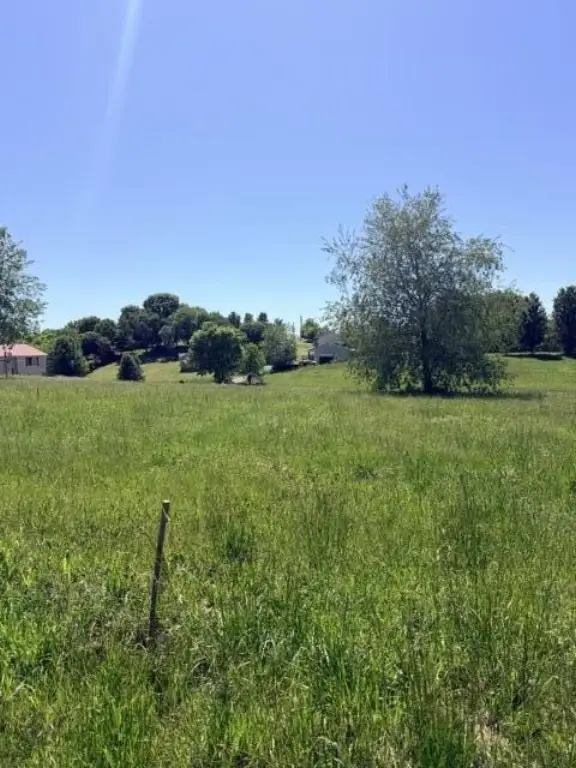 Picture 6