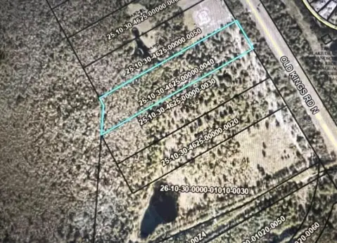 Palm Coast Acreage Opportunity