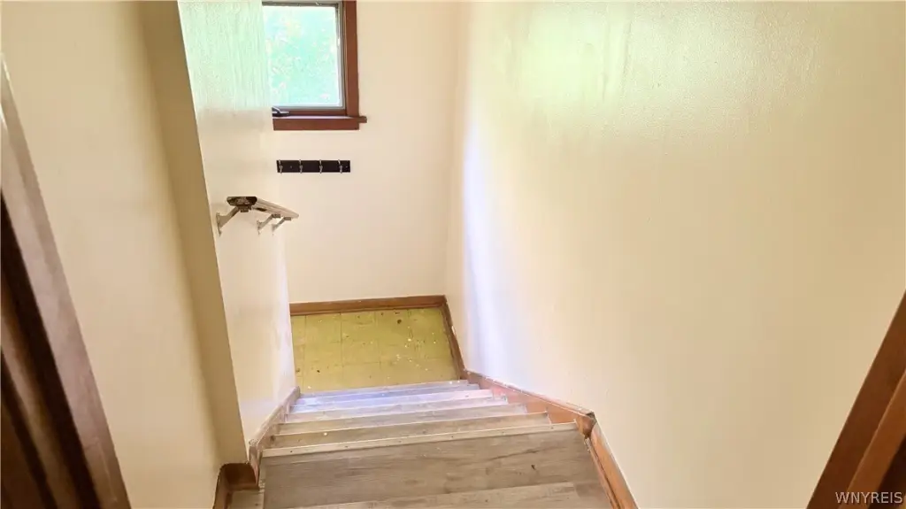 Picture 21