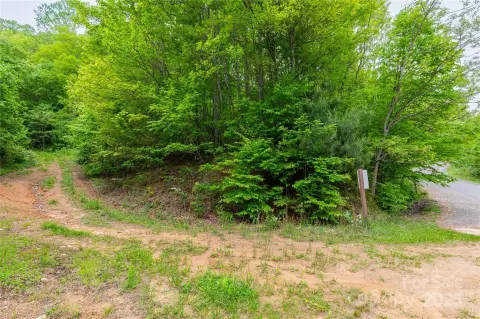 Mountain View Land in Clyde