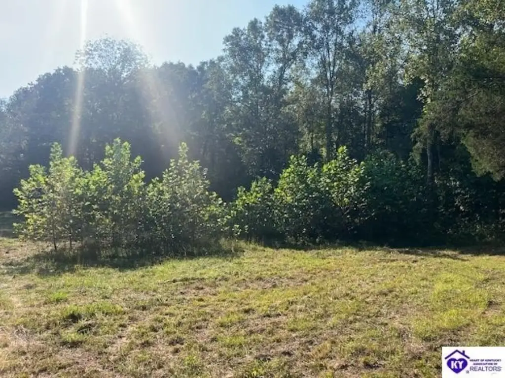 Picture 3