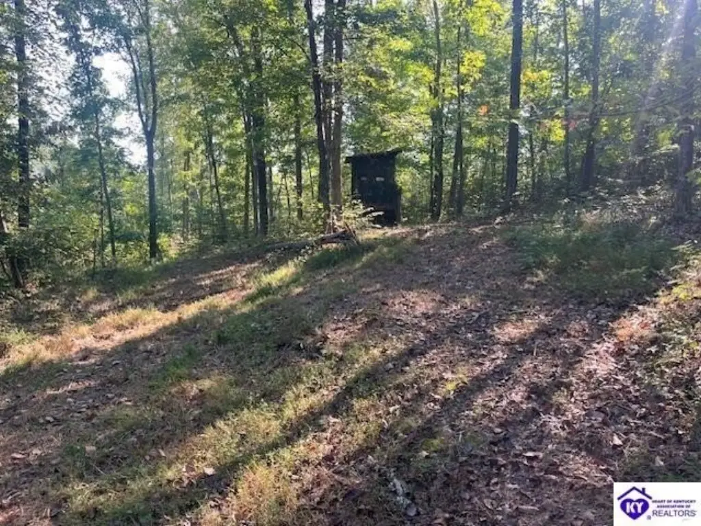 Picture 4