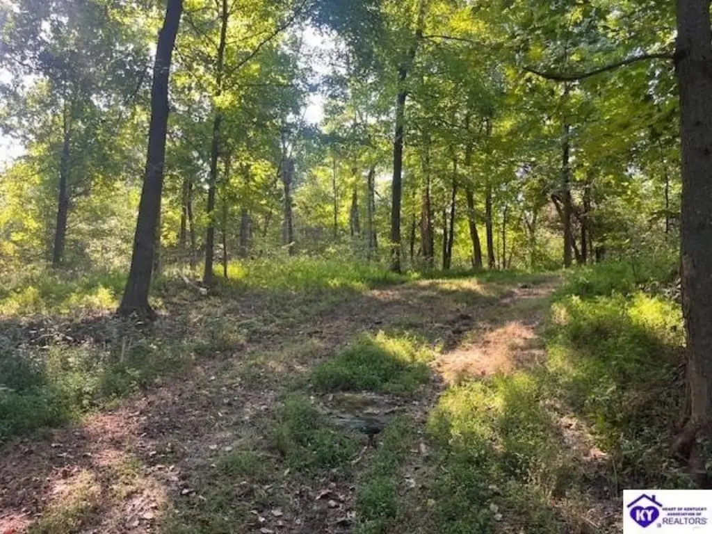 Picture 9