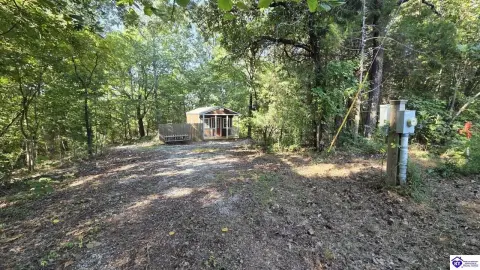 Hunting Land with Furnished Cabin