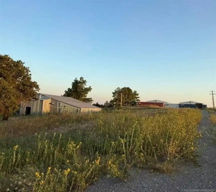 Picture 15