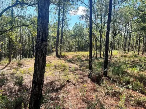 Estate Lots in Timber Ridge