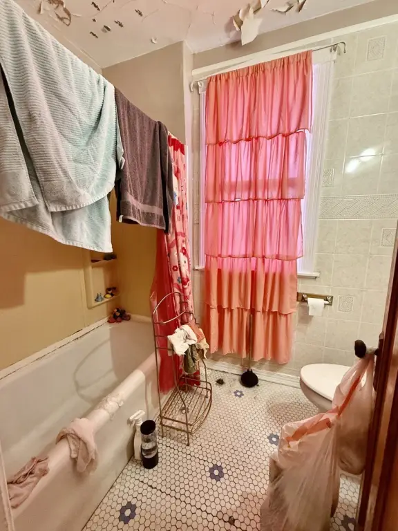 Picture 24
