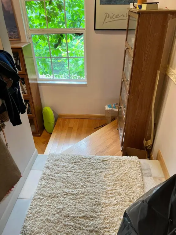 Picture 19