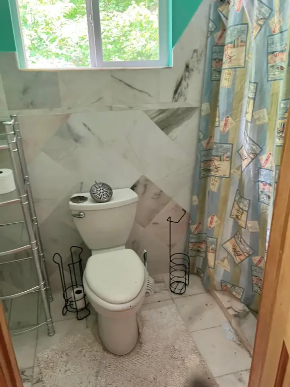 Picture 11