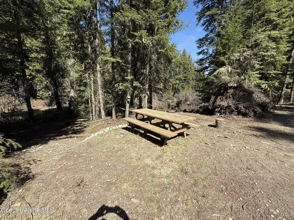 Picture 5