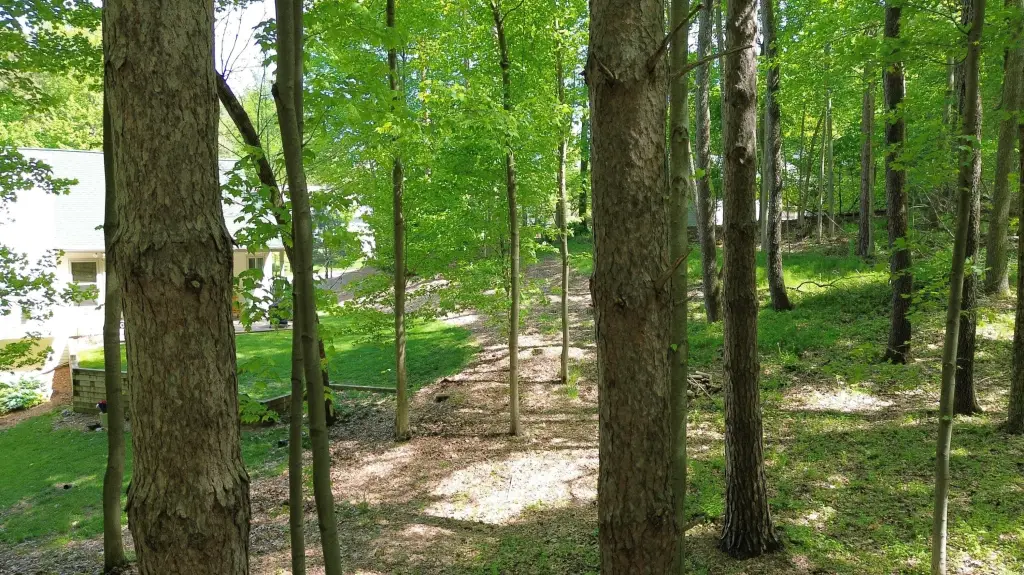 Picture 16