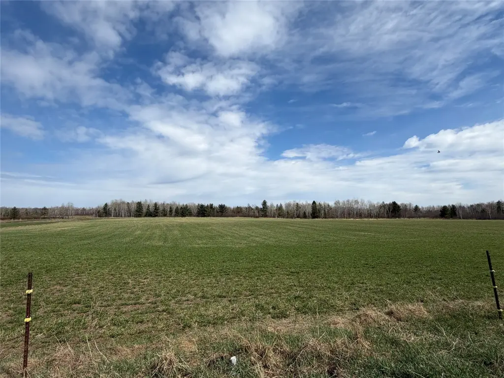 Picture 24