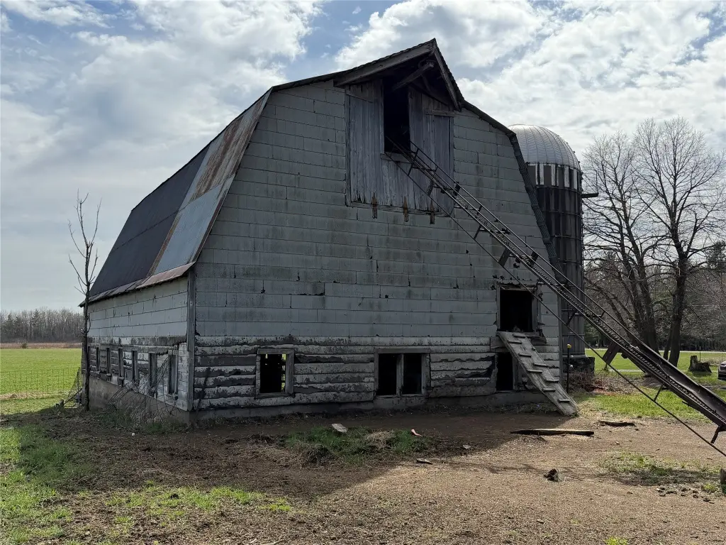 Picture 41