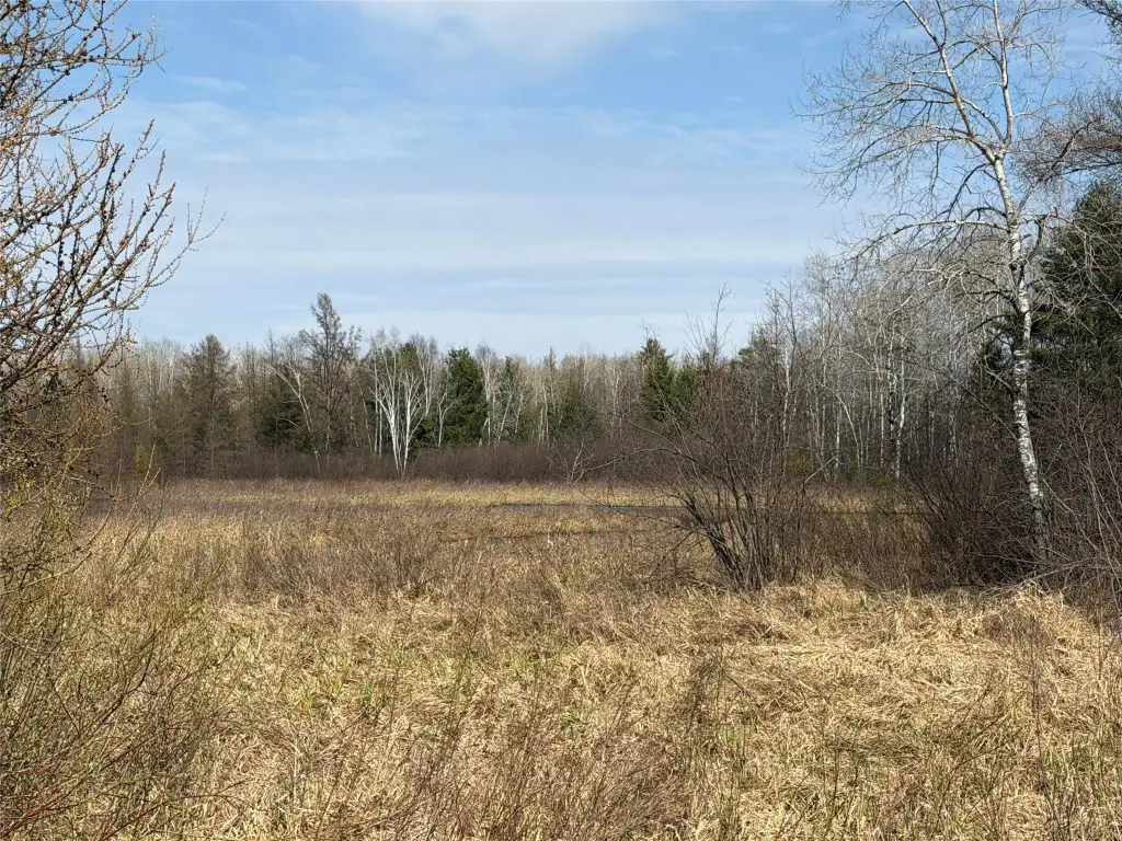 Picture 28