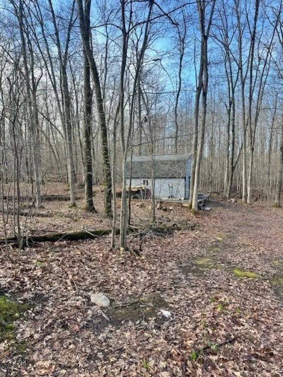 Picture 2
