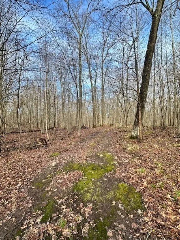 Picture 15