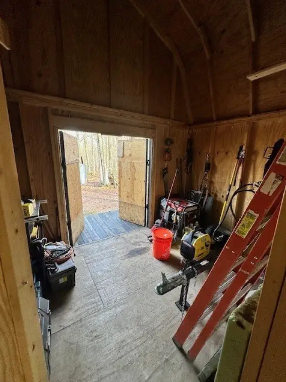 Picture 5