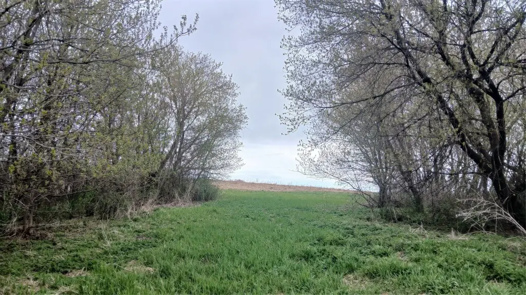 Picture 12
