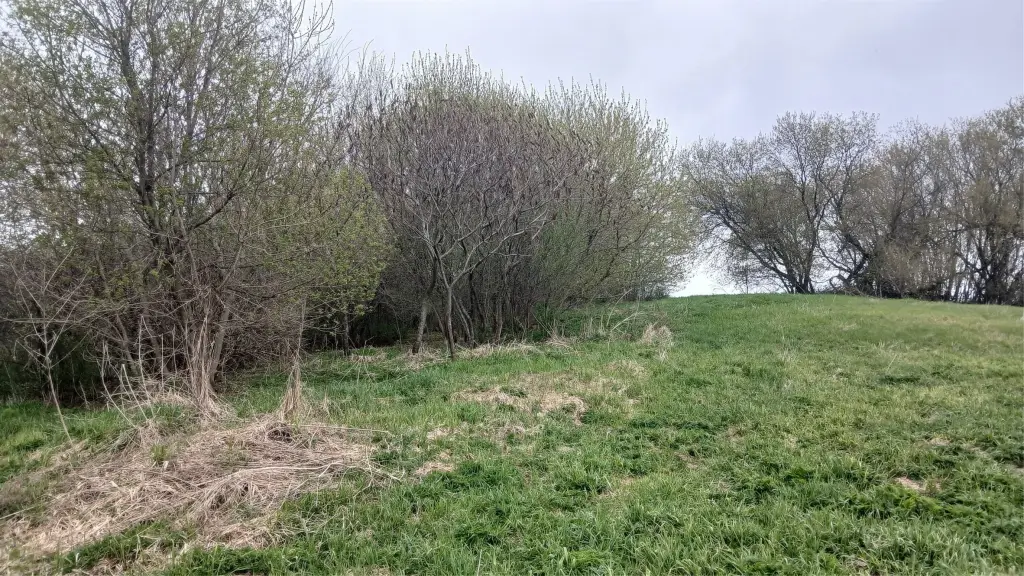 Picture 15