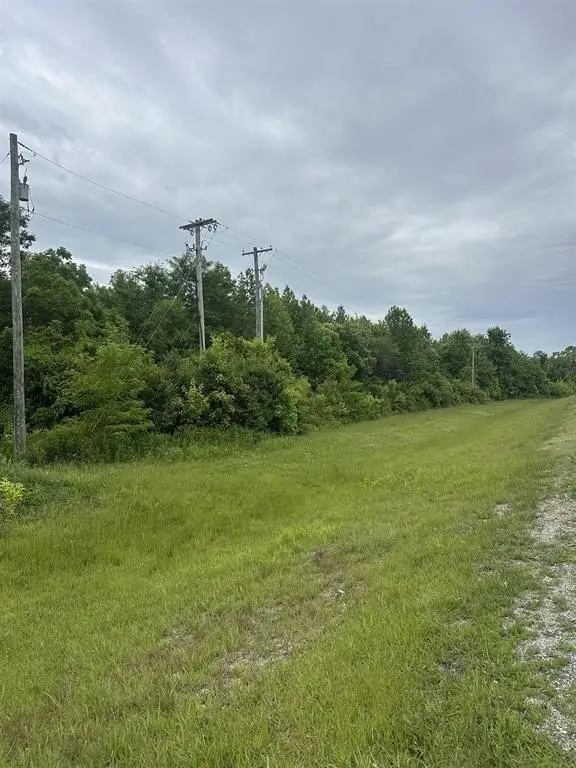 Picture 3