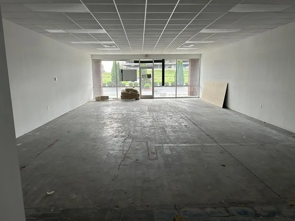 Picture 5