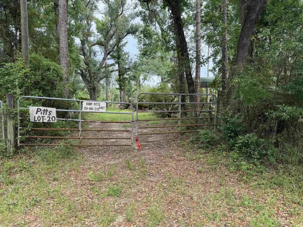 Picture 24