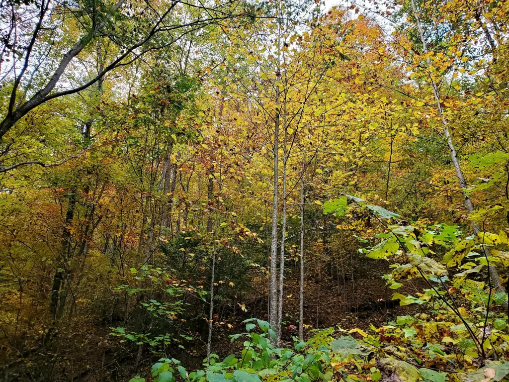 Picture 23