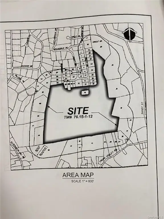 Picture 5