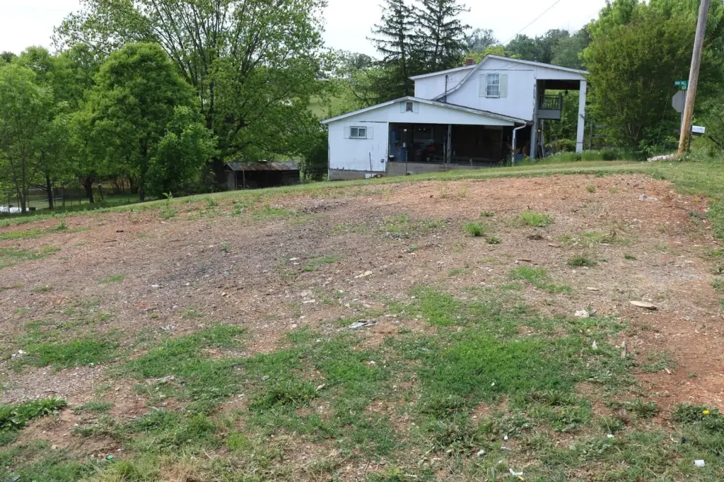 Picture 6