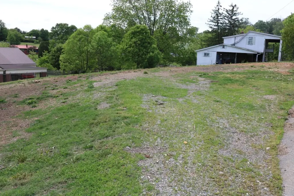 Picture 5