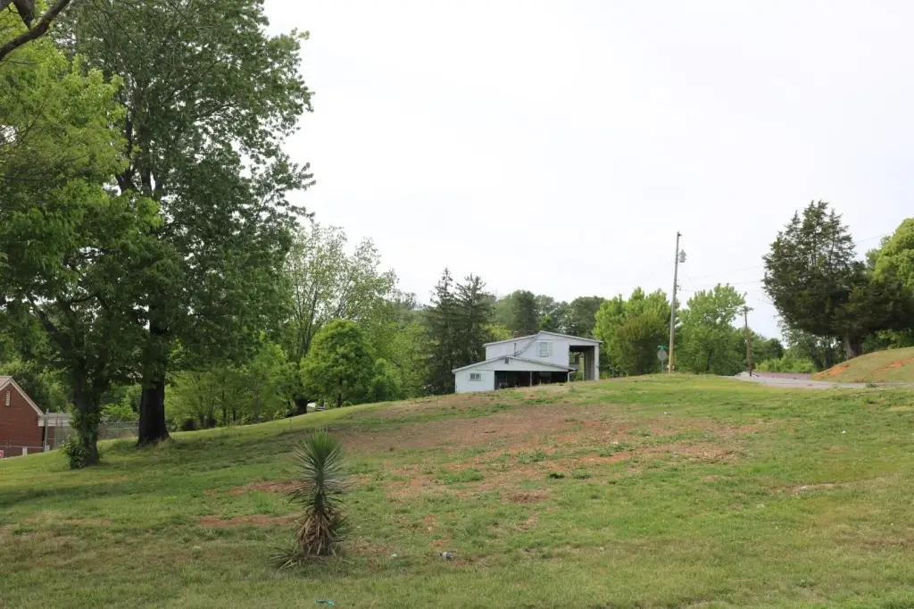 Picture 4