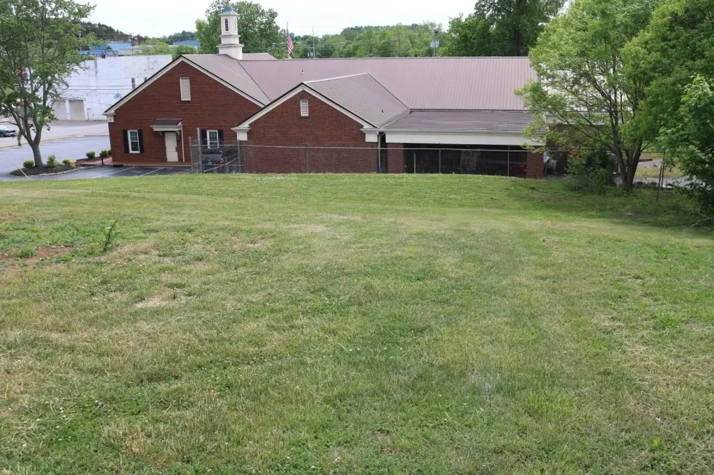 Picture 8