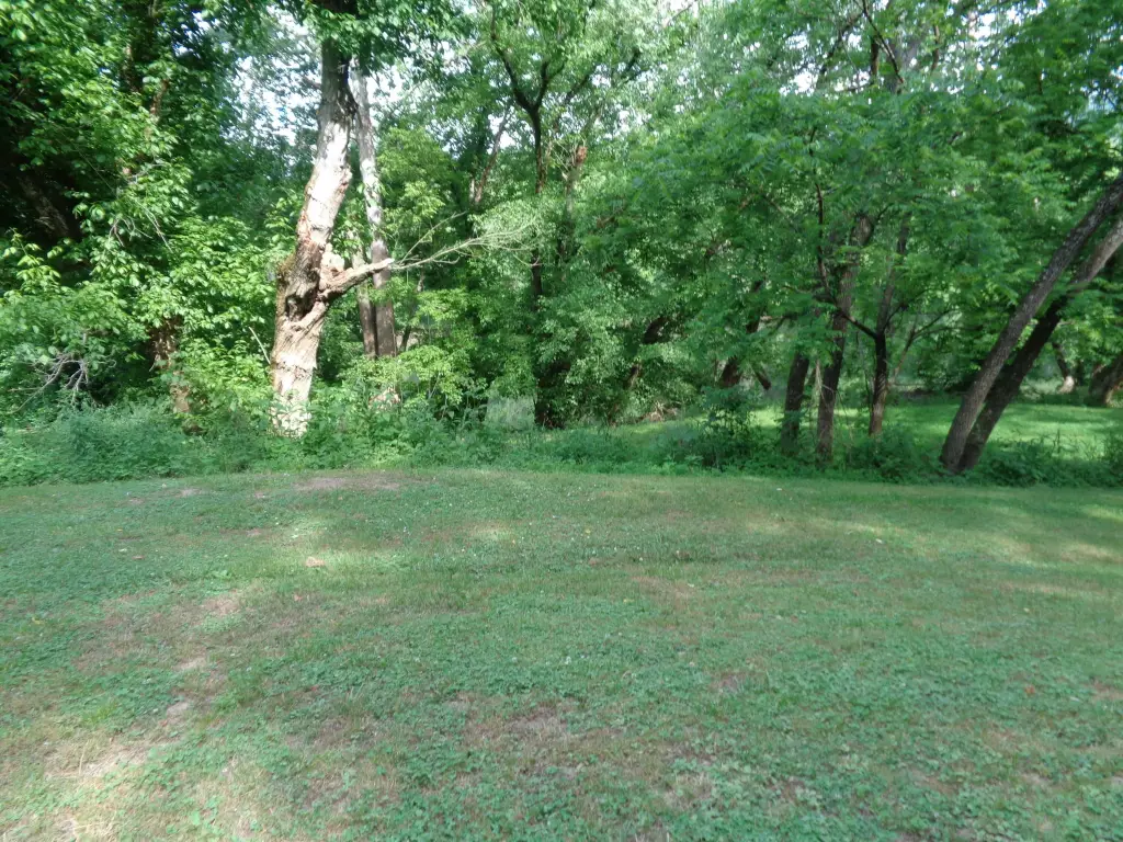 Picture 12