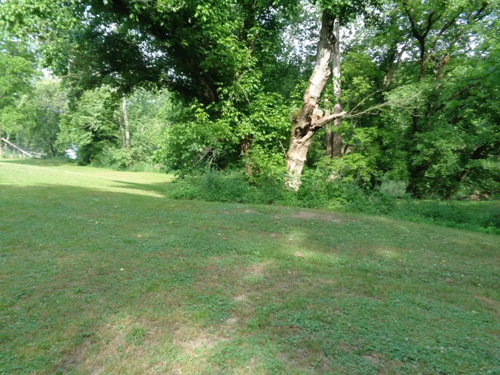 Picture 13