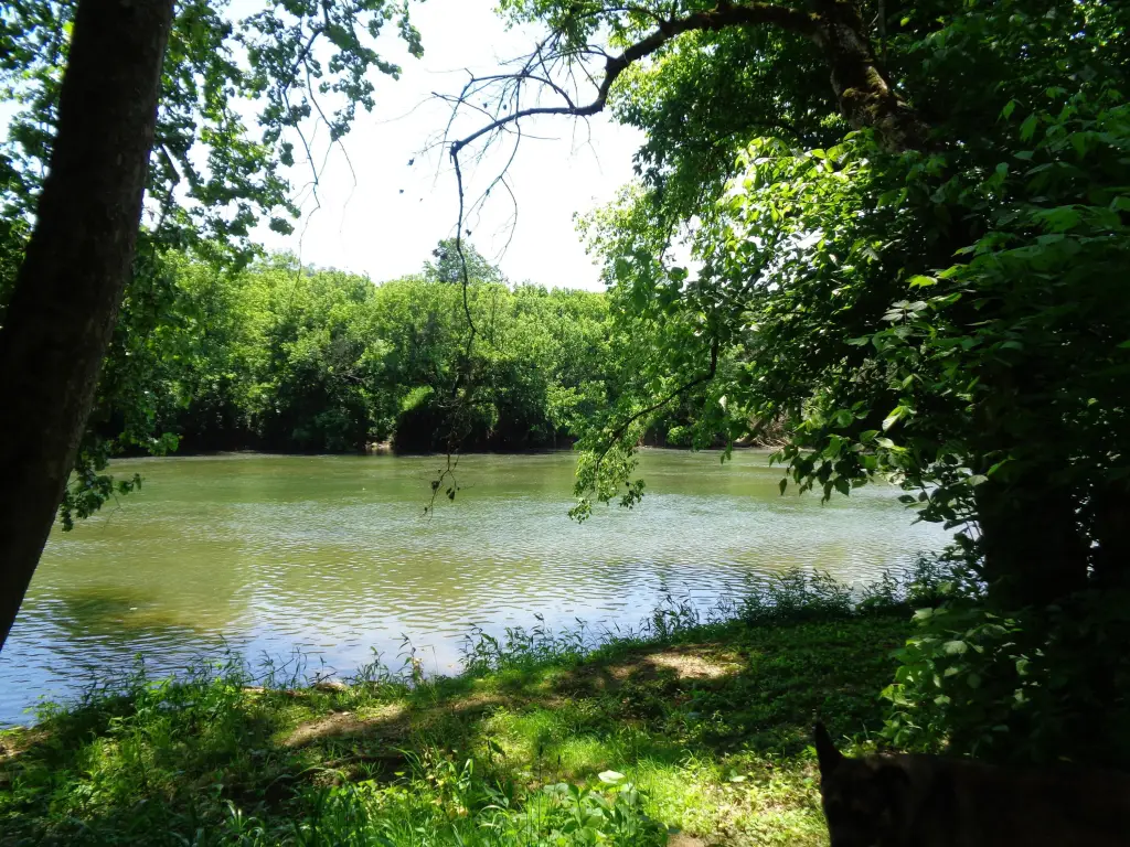 Picture 6