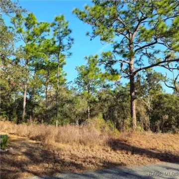 Residential Land in Sugarmill Woods