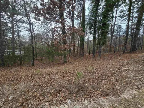 Undeveloped Residential Lot Near Lake