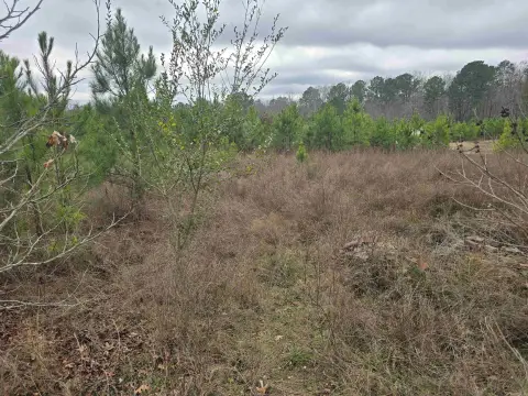 Residential Lot in Hot Springs