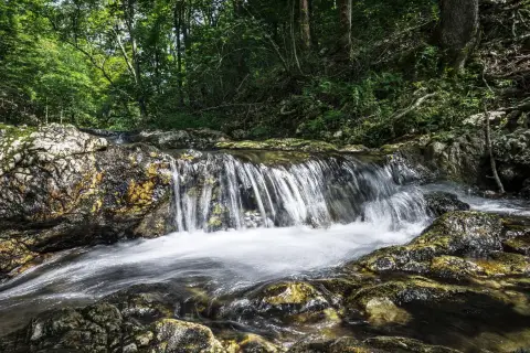 Expansive Acreage Near Glenwood, Arkansas