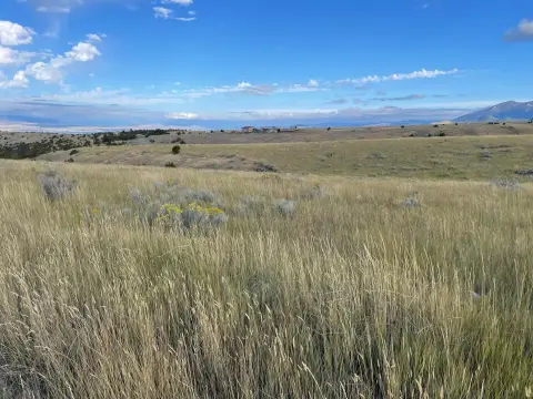 20 Acres in Townsend, MT