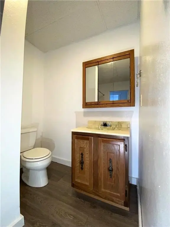 Picture 46