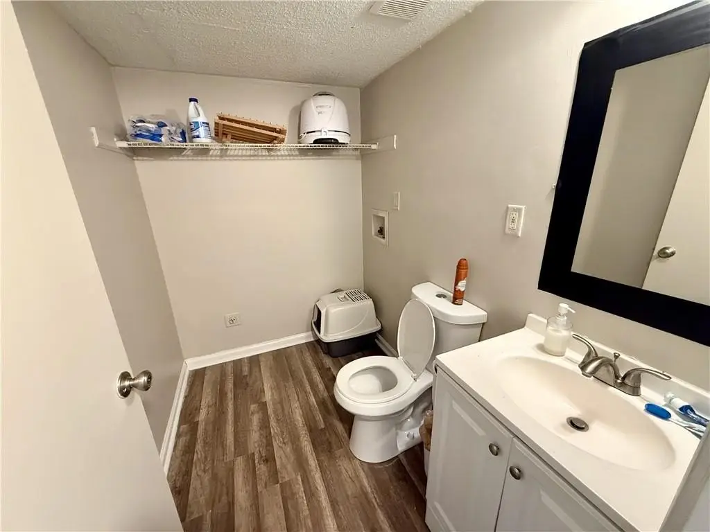 Picture 7