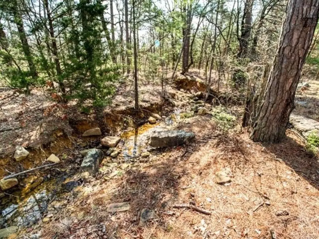 Picture 15