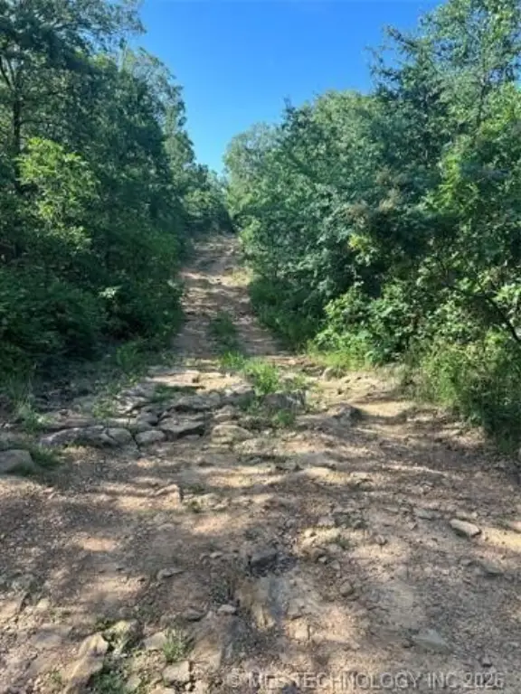 Picture 4
