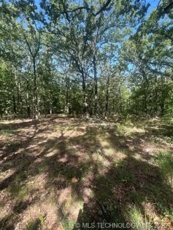 Picture 9