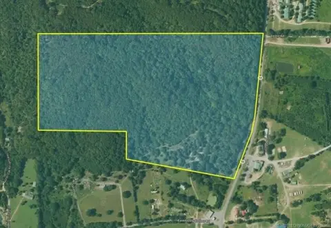 Wooded Land with Highway Frontage