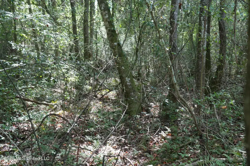 Picture 13