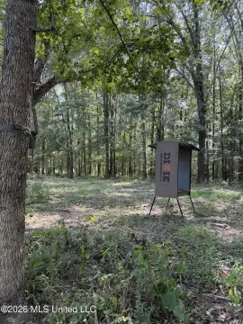 Hunting Land with Shooting Houses