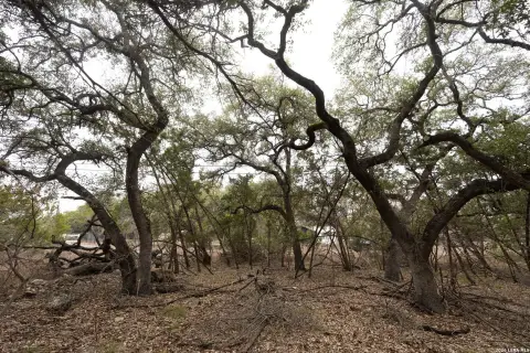 Residential Lot in Spring Branch