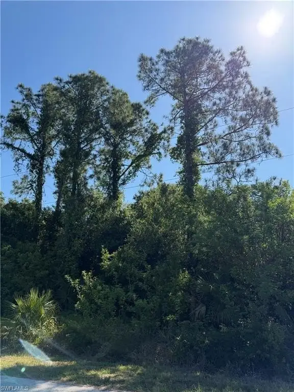 Picture 3